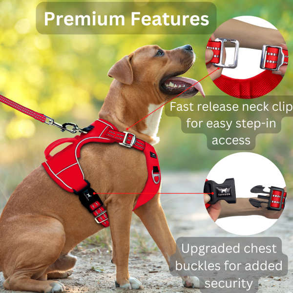 TUFFDOG poppy red dog harness premium features