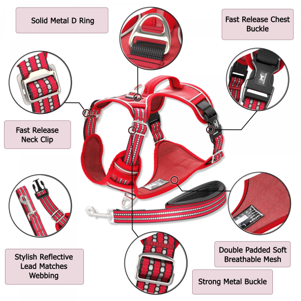 TUFFDOG poppy red dog harness infographic