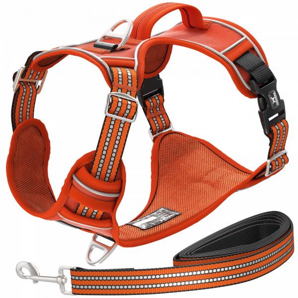 TUFFDOG blaze orange dog harness