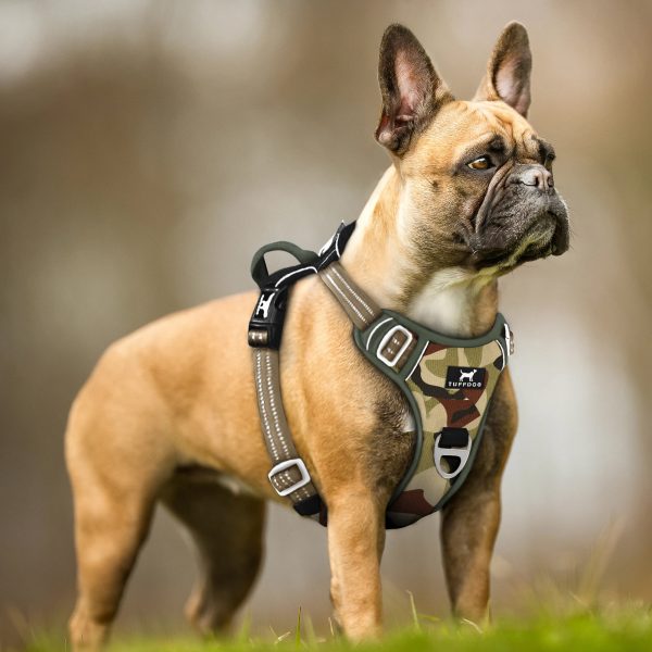 TUFFDOG jungle camo dog harness french bulldog