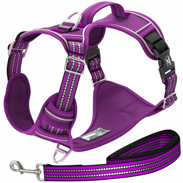 TUFFDOG vivid violet harness