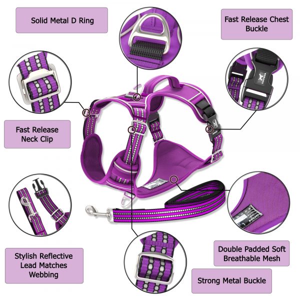 TUFFDOG vivid violet harness infographics