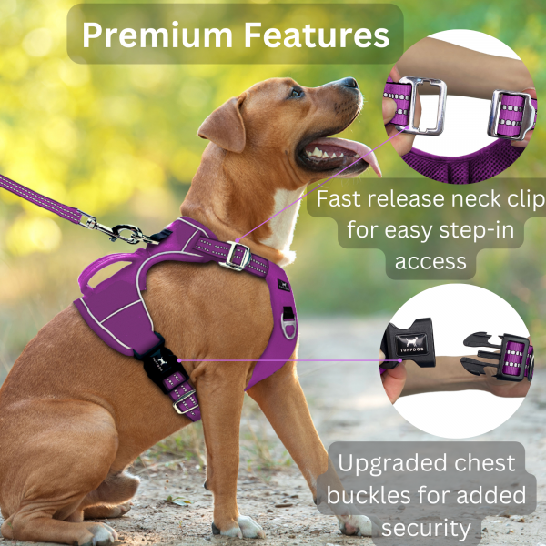 TUFFDOG vivid violet harness premium features