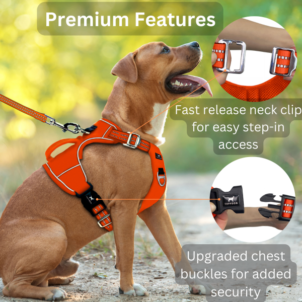 TUFFDOG blaze orange dog harness premium features