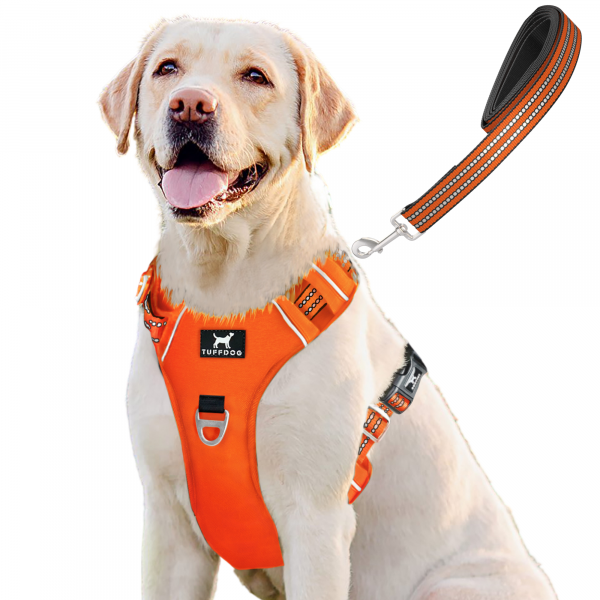 TUFFDOG blaze orange dog harness