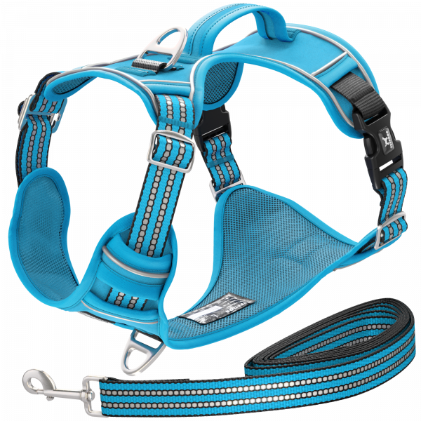 TUFFDOG Sky Blue dog harness and lead set