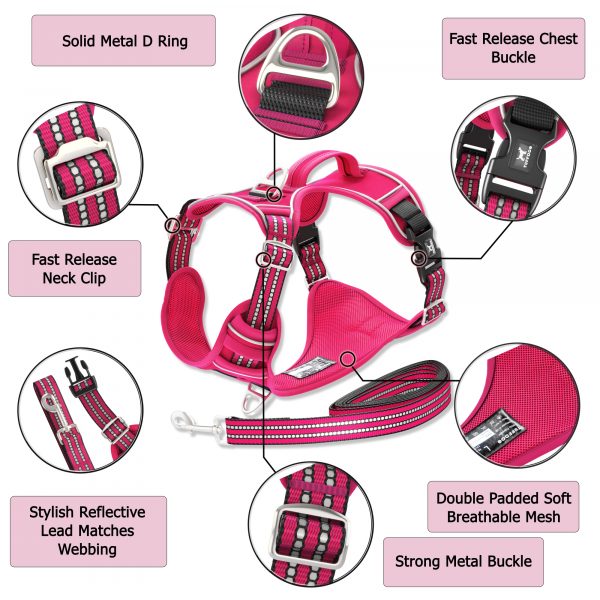 TUFFDOG hot pink harness infographics