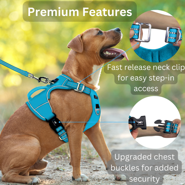 Tuffdog Premium Features