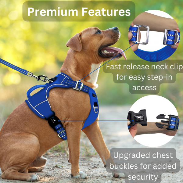 TUFFDOG bright blue dog harness premium features