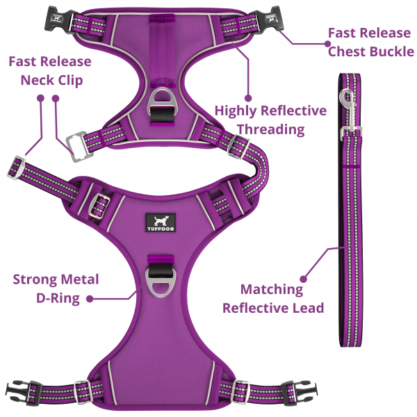 TUFFDOG vivid violet harness