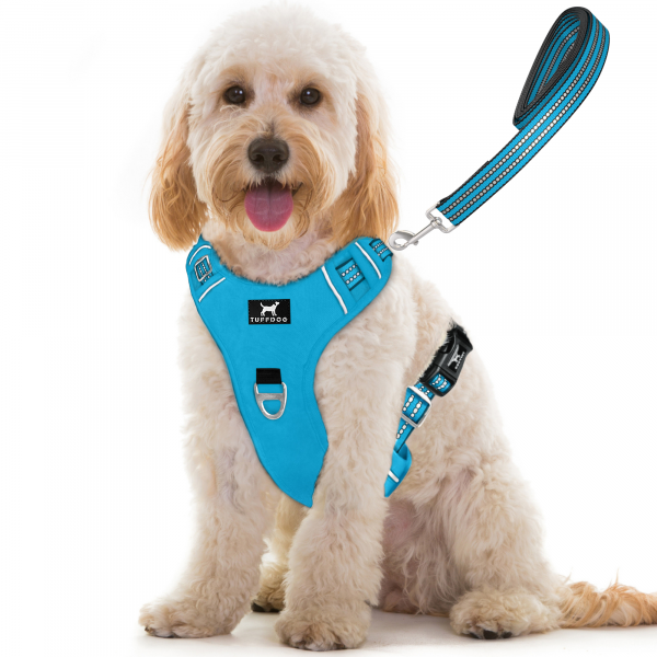 TUFFDOG sky blue dog harness