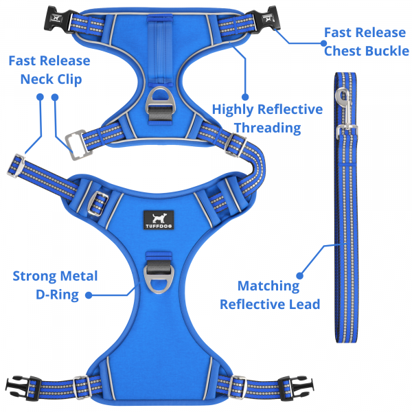 TUFFDOG bright blue dog harness